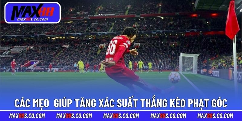 Các mẹo đơn giản giúp tăng xác suất thắng kèo phạt góc