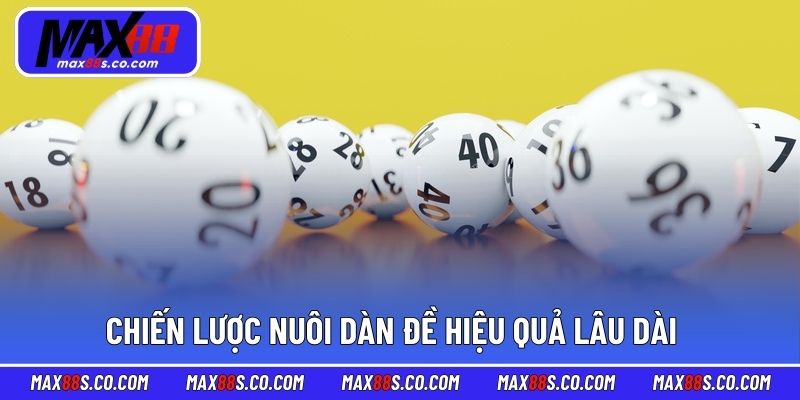 Chiến lược nuôi dàn đề hiệu quả lâu dài