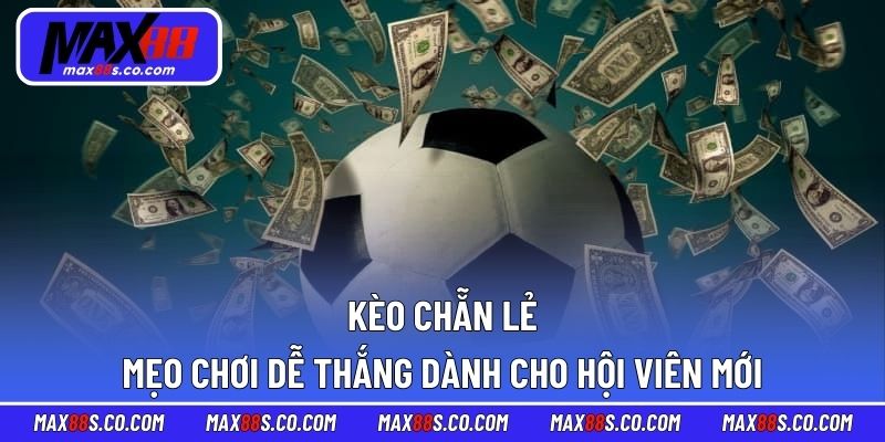 Kèo Chẵn Lẻ - Mẹo Chơi Dễ Thắng Dành Cho Hội Viên Mới