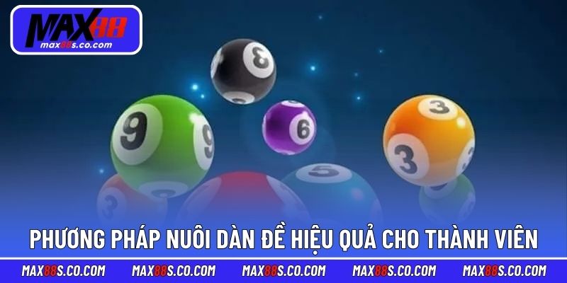 Phương pháp nuôi dàn đề hiệu quả cho thành viên mới