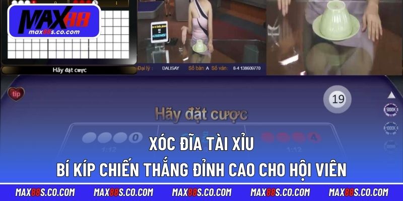 Xóc Đĩa Tài Xỉu - Bí Kíp Chiến Thắng Đỉnh Cao Cho Hội Viên